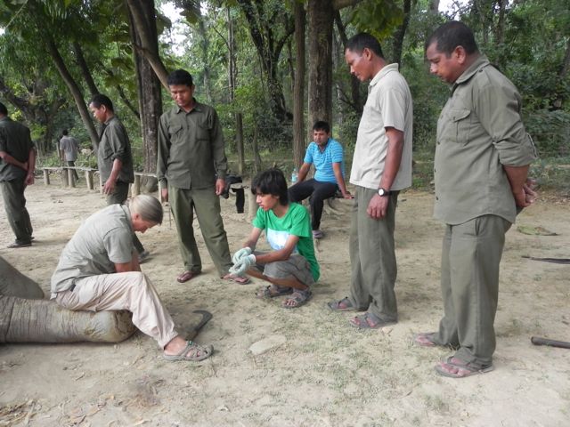 Carol et al in Bardia