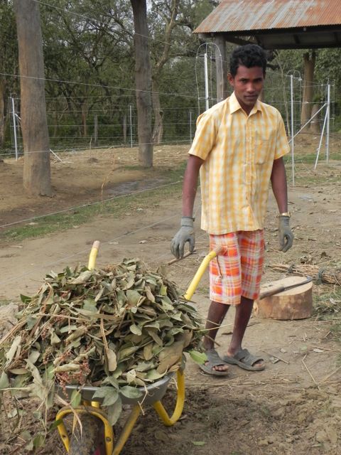 mahout & wheelbarrow