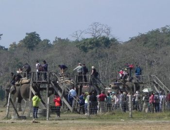 boarding safari rides