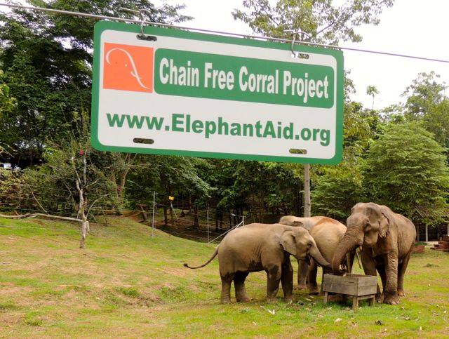 Chain Free Means Pain Free