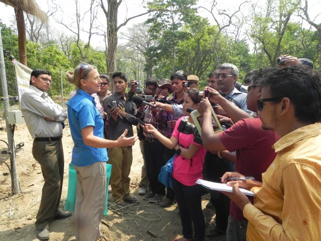 Carol Buckley responds to press on chain free corrals for elephants