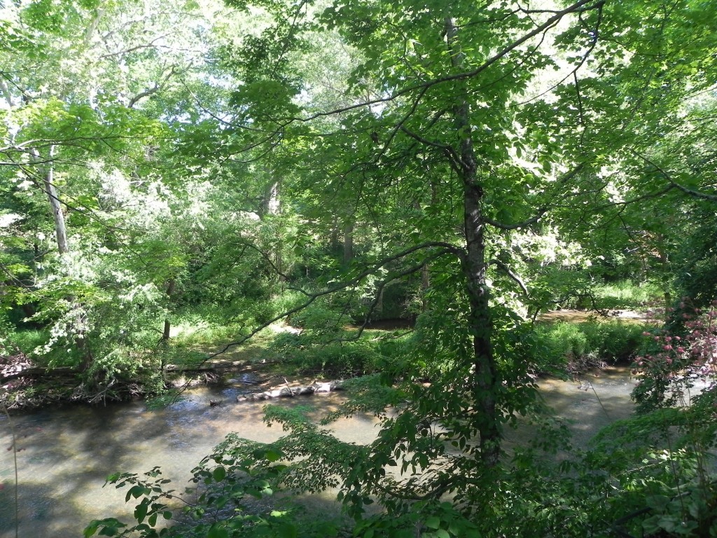 Nature At Her Finest