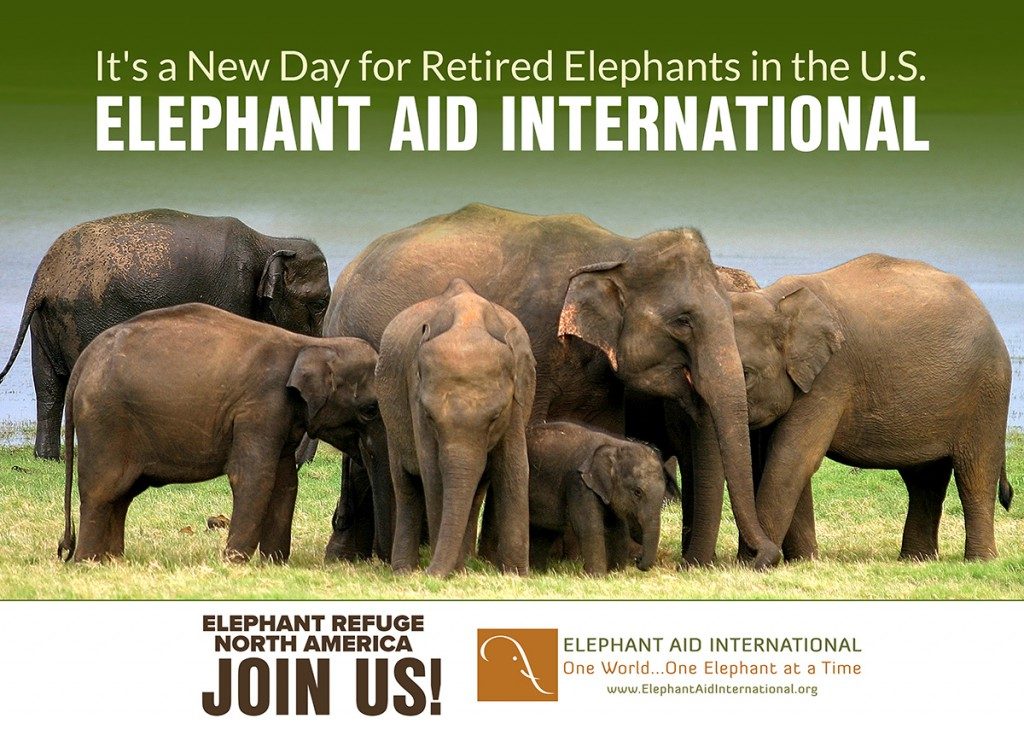 Elephant Refuge North America