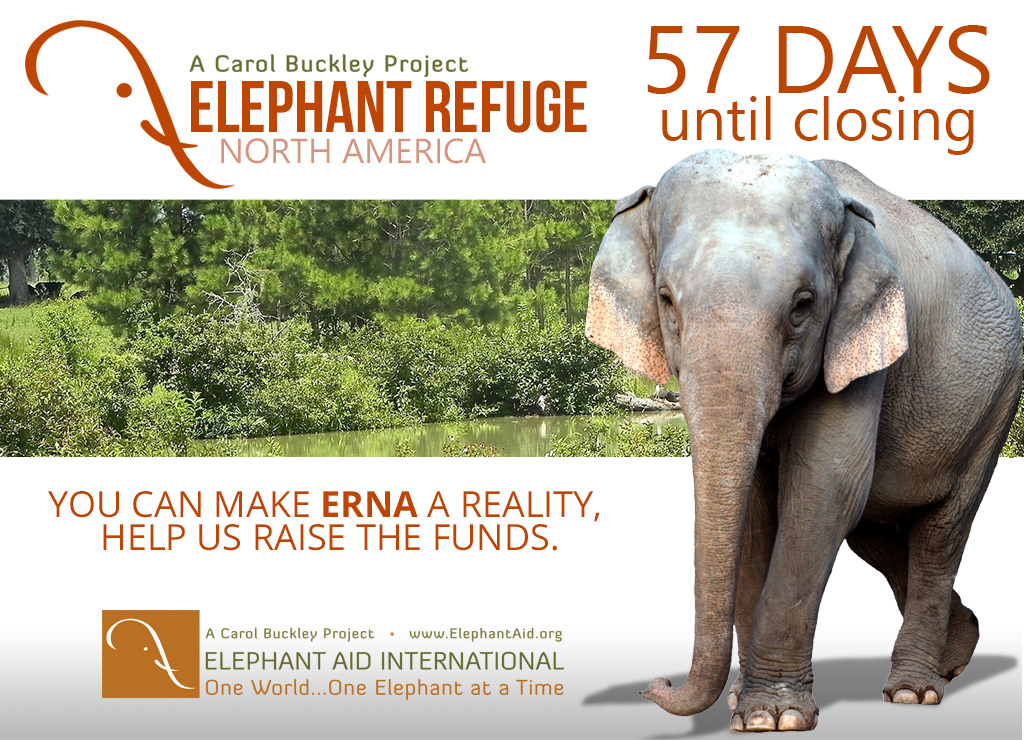 Current donation total is now at $858,945.00