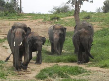 Sunder & family