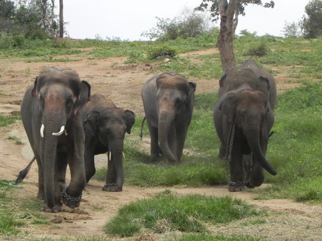 Sunder & family