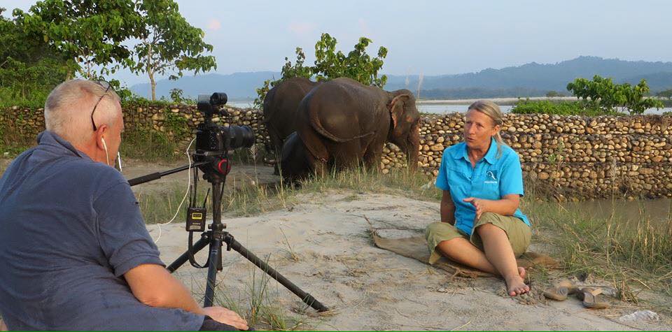 Carol interviewed at Tiger Tops