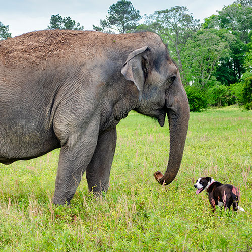 Tarra and new friend Mala