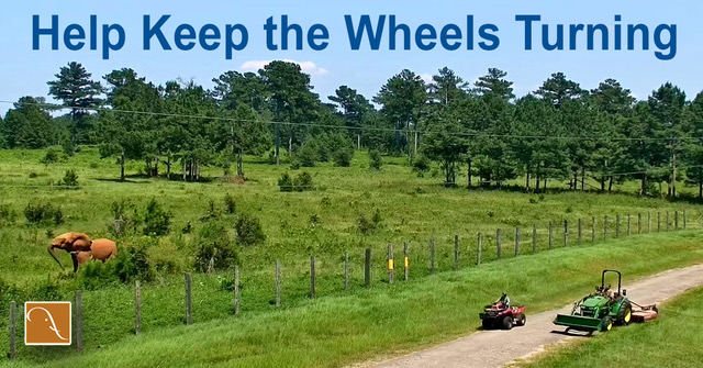 Wheels-turning